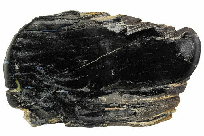 Polished Petrified Wood Slab - Oregon #106367